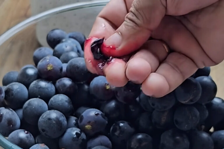 👉 “Excellent Supplement For Fat Burning.“